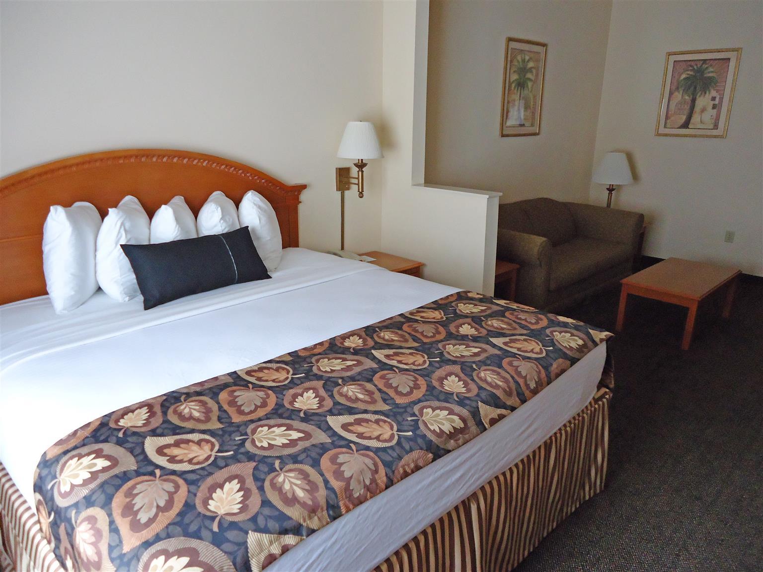 Best Western Magnolia Inn And Suites Ладсън Екстериор снимка